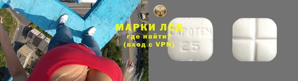 ПСИЛОЦИБИНОВЫЕ ГРИБЫ Белокуриха